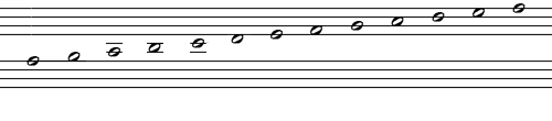 Notation System