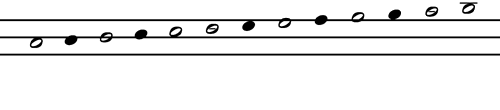 Notation System