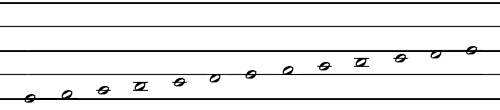 Notation System