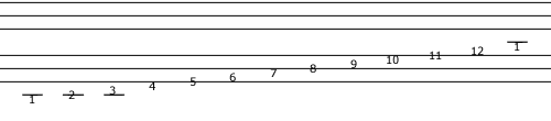 Notation System