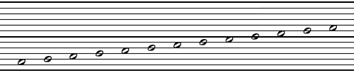 Notation System