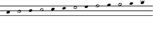 Notation System